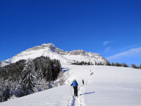 La montée vers le Colombier